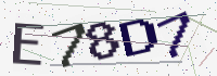 Verification Image