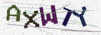 Verification Image