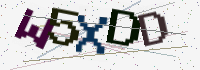 Verification Image