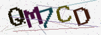 Verification Image