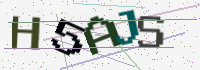 Verification Image