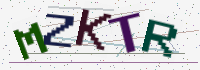 Verification Image